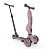 Scoot and Ride - Highwaykick 1 Push & Go (1-5 Years)